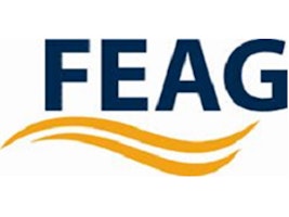 Logo FEAG